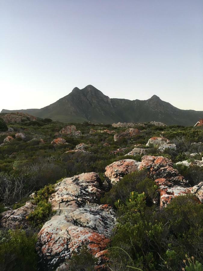 Rondawel With Sea View Kleinmond Exterior foto